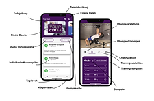 lanista_3.0_features_2.png