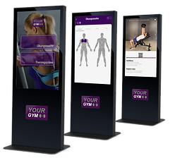 studio_terminal_exercisesearch1.png